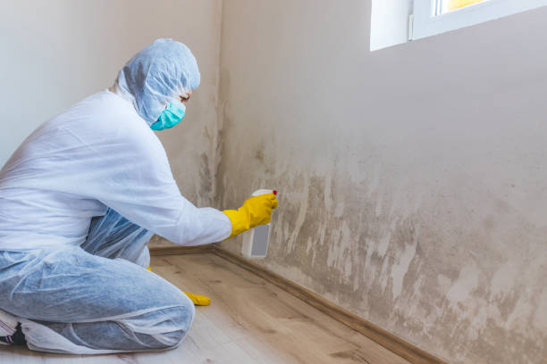 Licensed Crawl Space Mold Removal service in Clarence, PA - WQB Mold Removal
