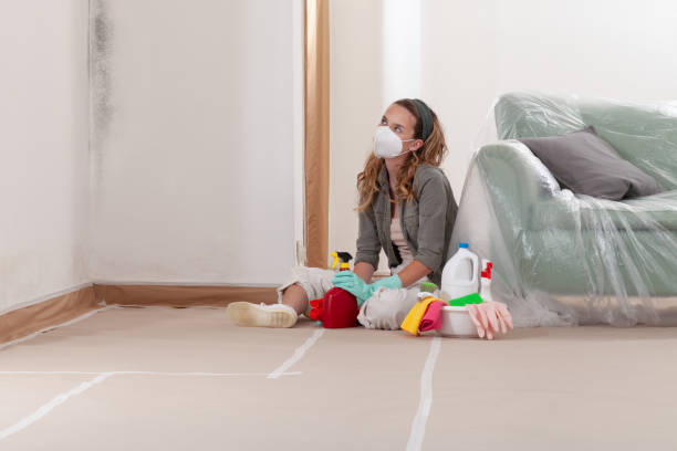 Trusted Crawl Space Mold Removal service in Clarence, PA - WQB Mold Removal